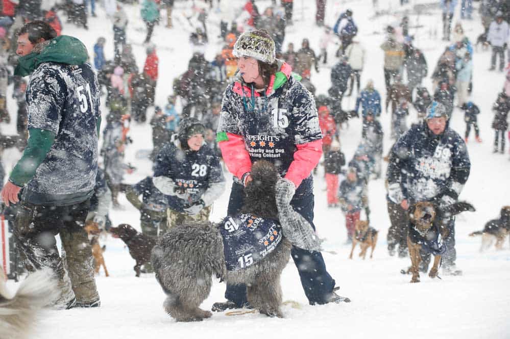 queenstown event photography dog derby