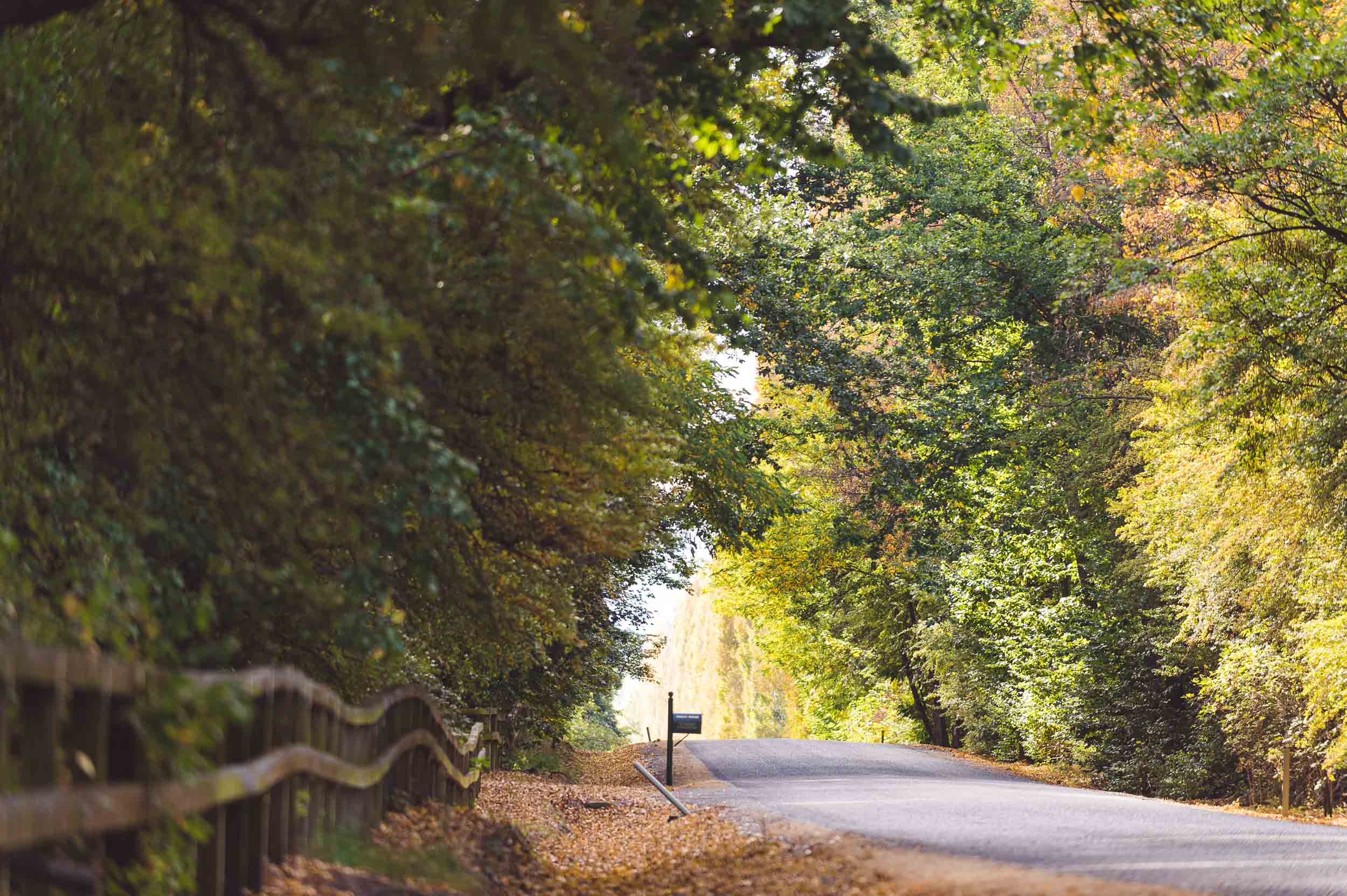 autumn Arrowtown wedding