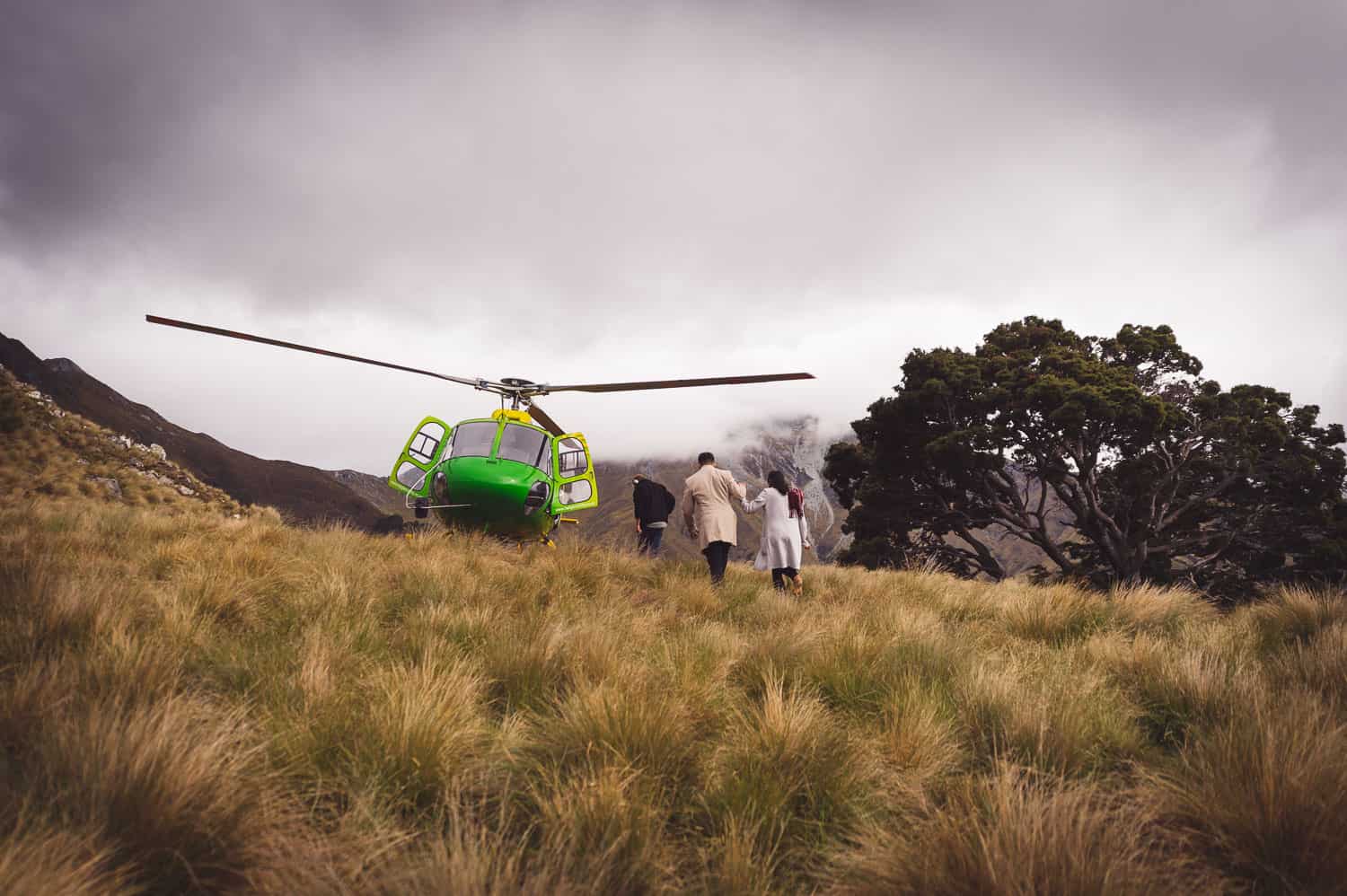 Surprise Queenstown Heli Proposal Glenorchy