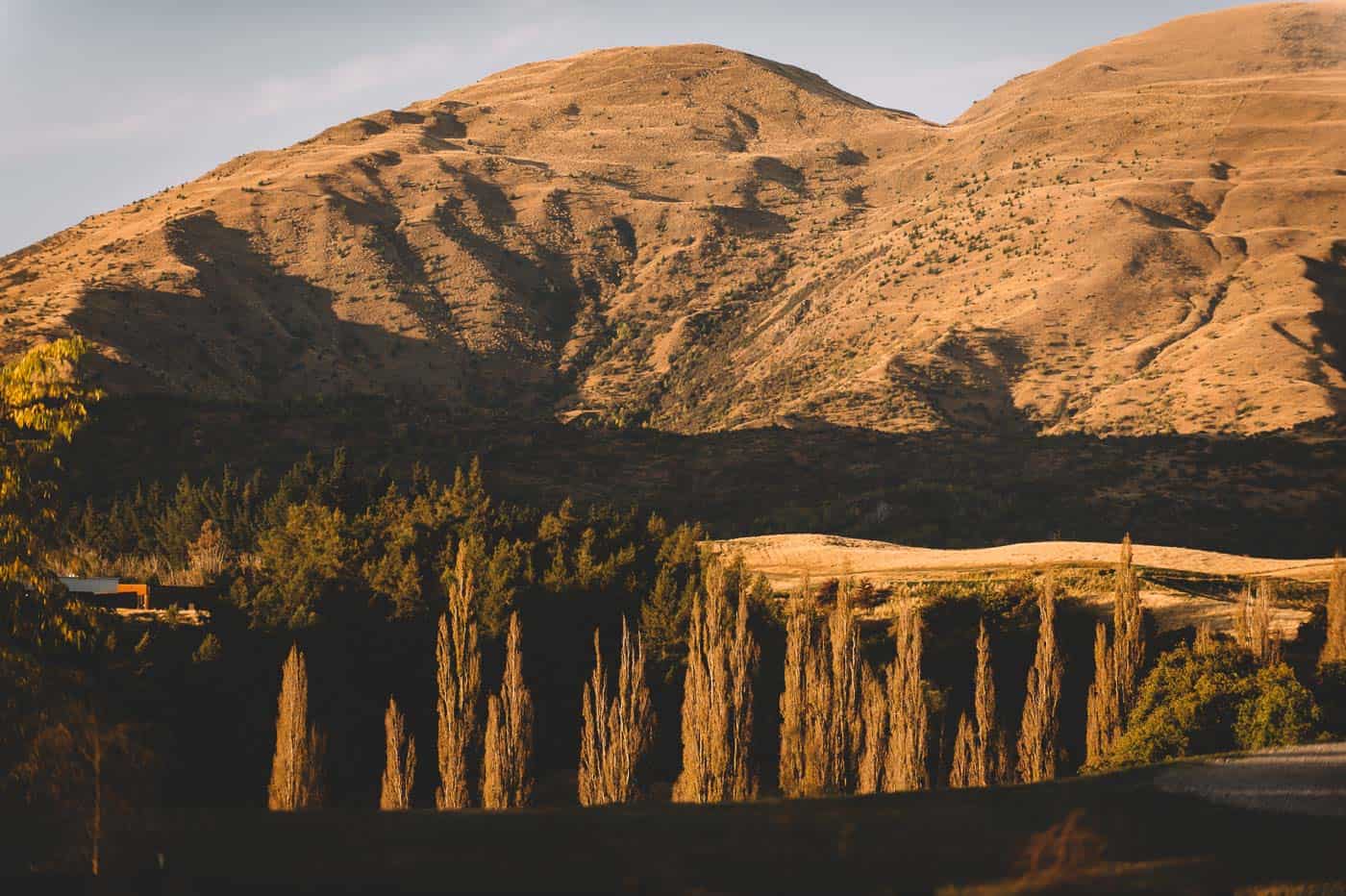 Sam and Kirk's Wedding Reception at Akarua Wines and Kitchen by Artisan landscape golden hour
