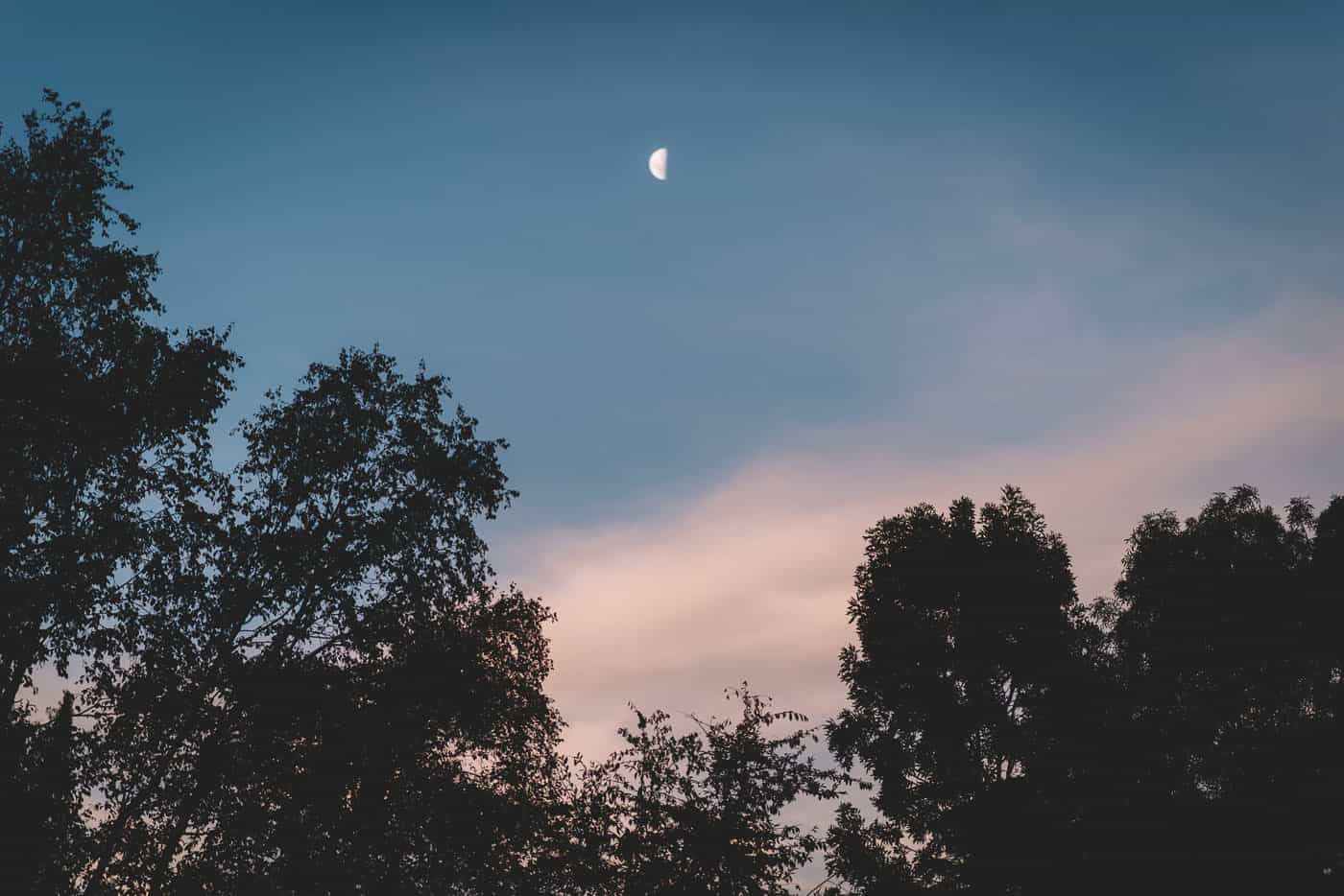 Sam and Kirk's elopement wedding reception at Akarua Wines and kitchen by artisan moon evening