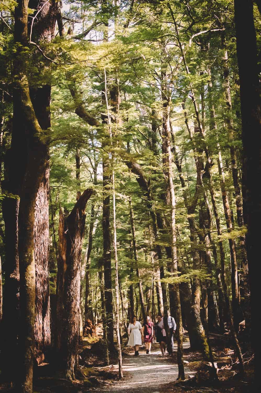 FALLON 190118 3487 Master Preview Preview Lake Sylvan Elopement