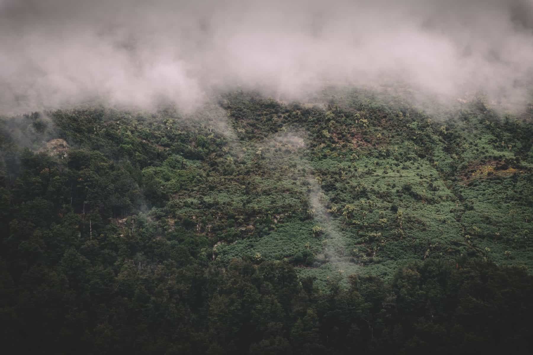 004 FALLON 190316 1804 Master HD paradise trust wedding