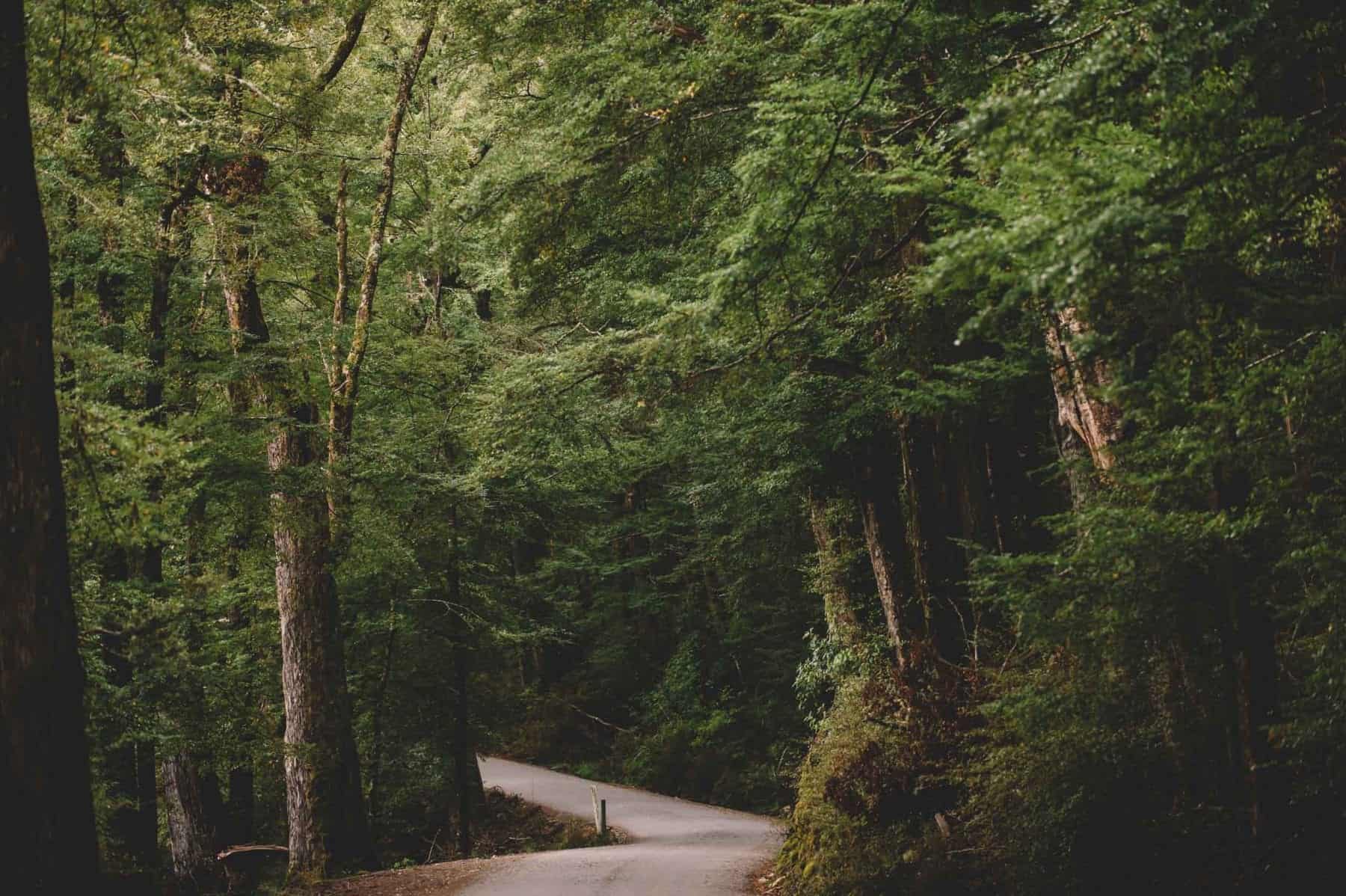 005 FALLON 190316 1822 Master HD paradise trust wedding