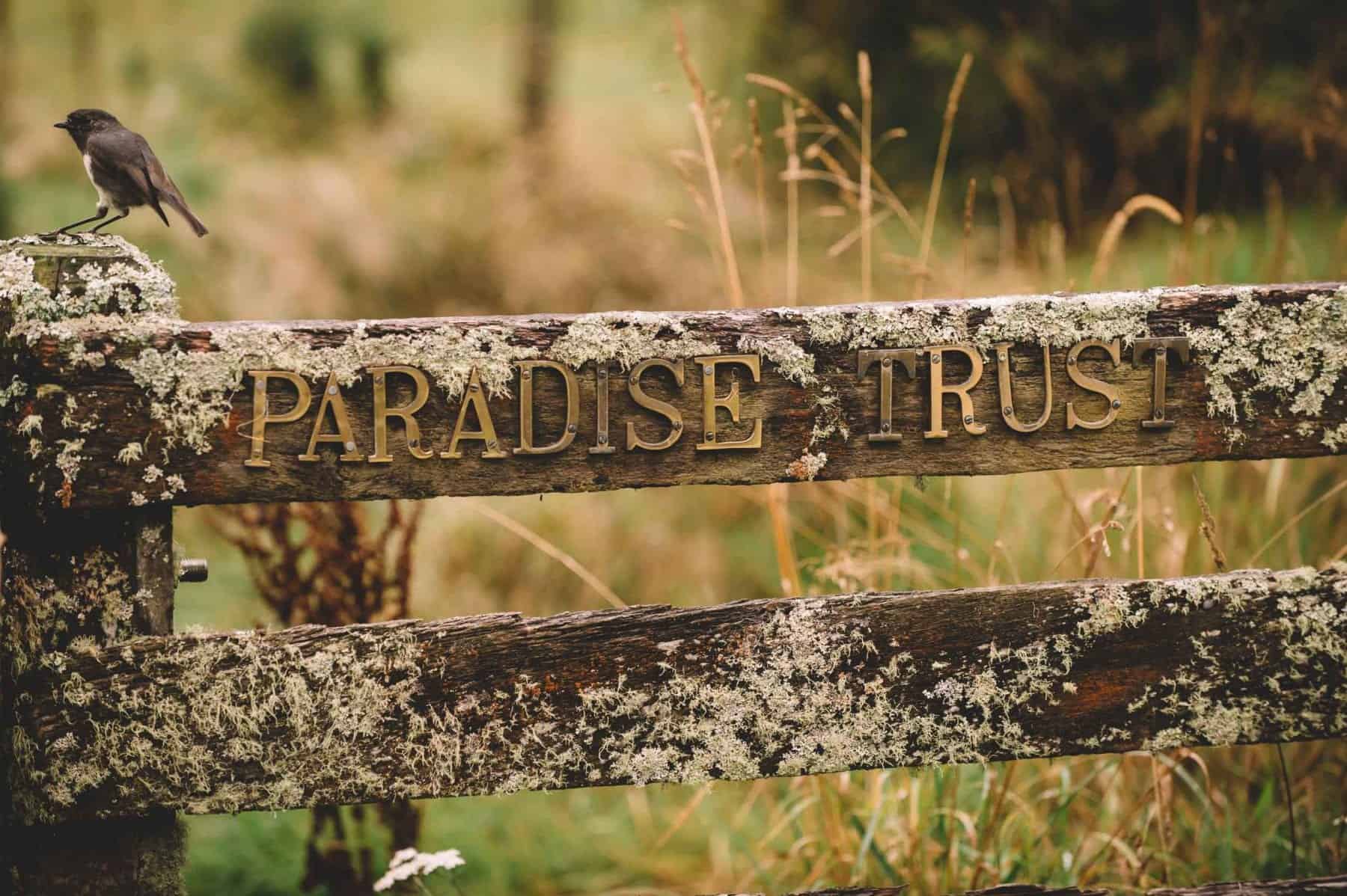 paradise trust wedding