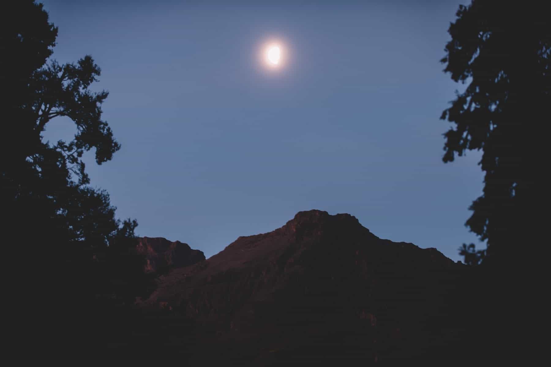 079 FALLON 190316 3264 Master HD paradise trust wedding