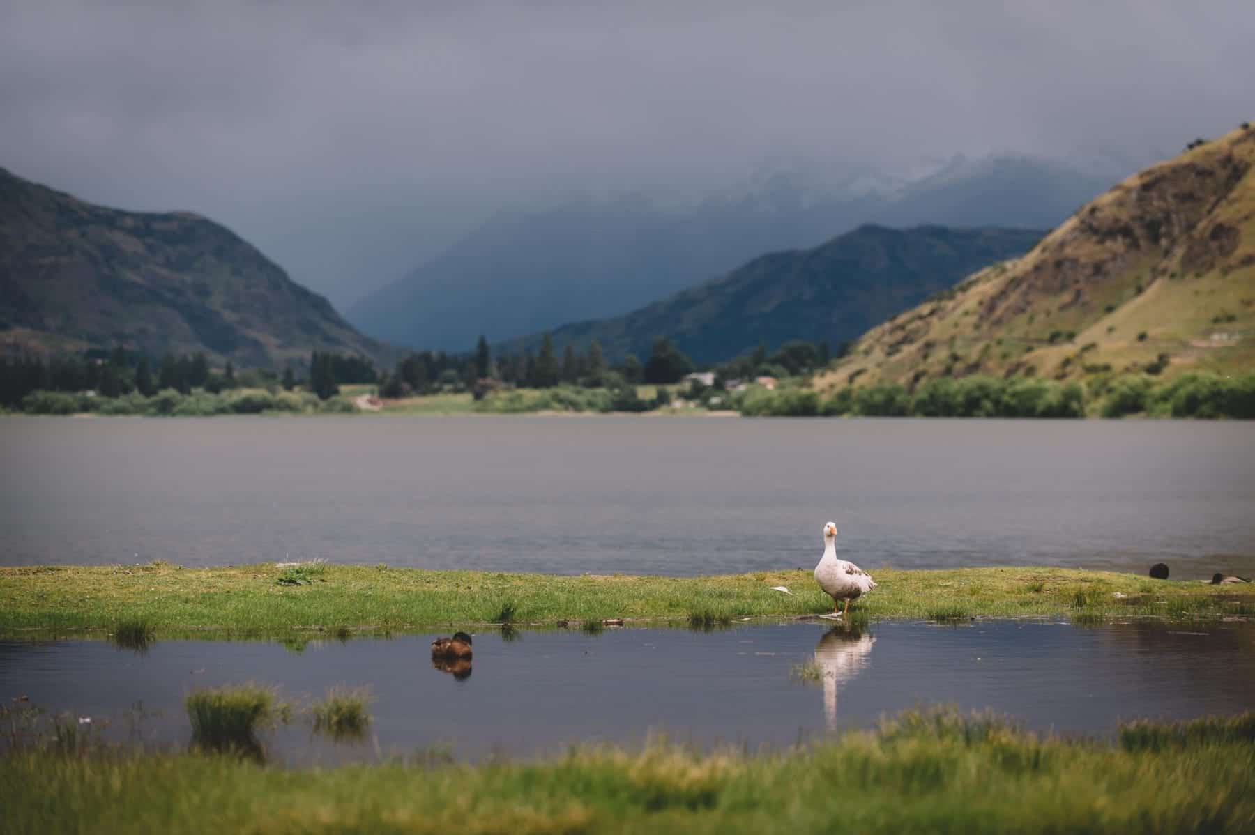 St John's Church Wedding Arrowtown